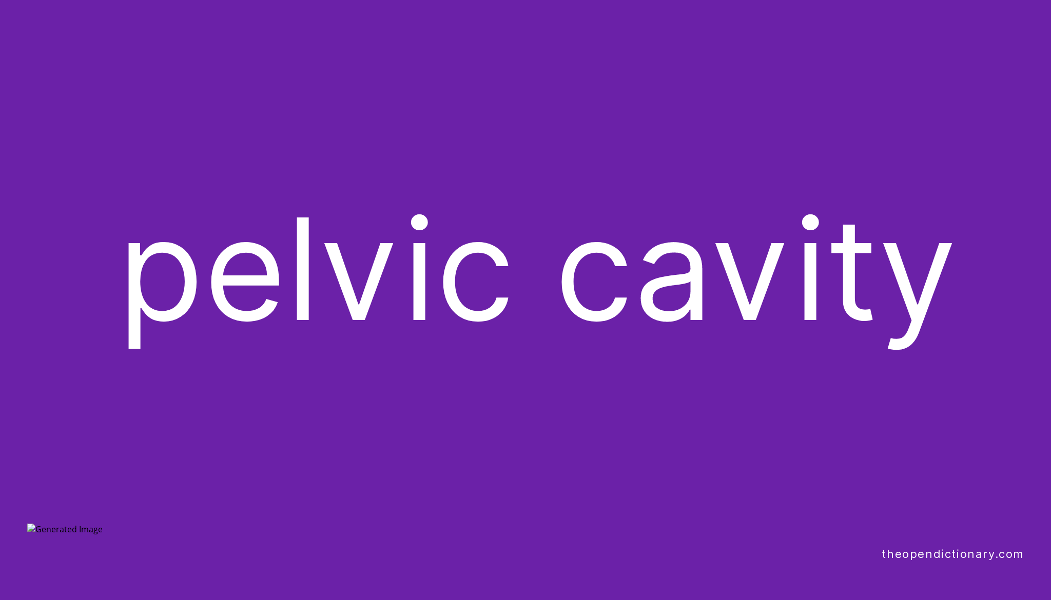 pelvic-cavity-meaning-of-pelvic-cavity-definition-of-pelvic-cavity